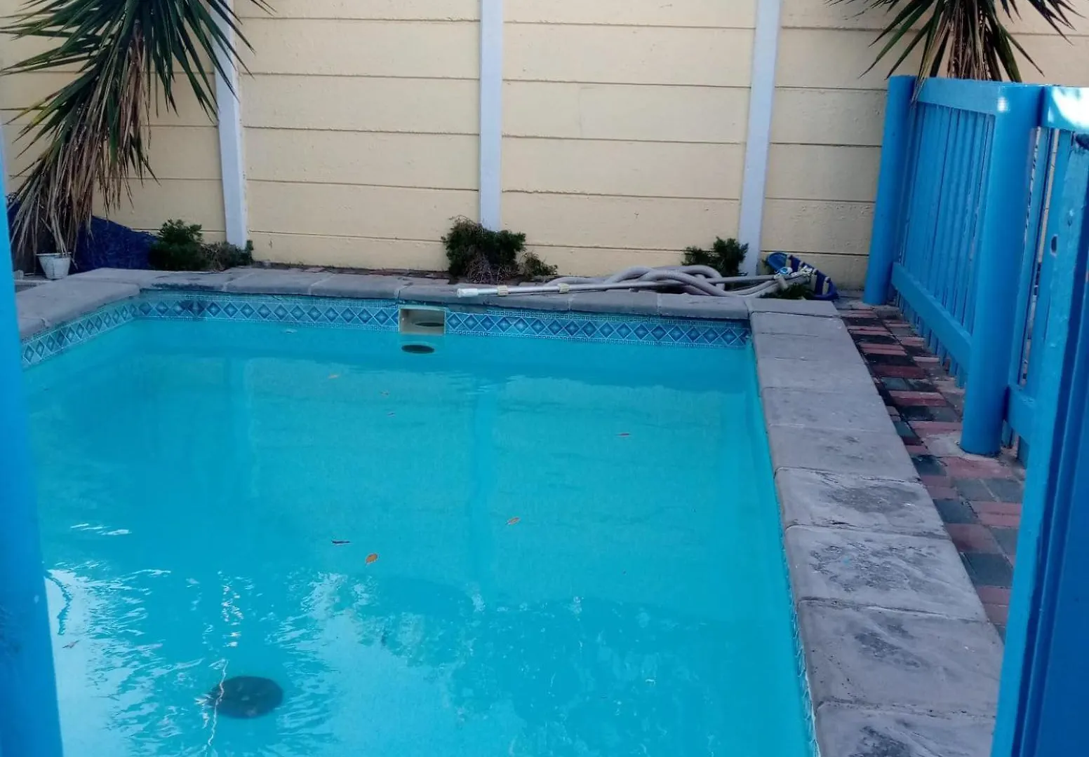 Aparthotel Sunshine Guest House Cape Town South Africa