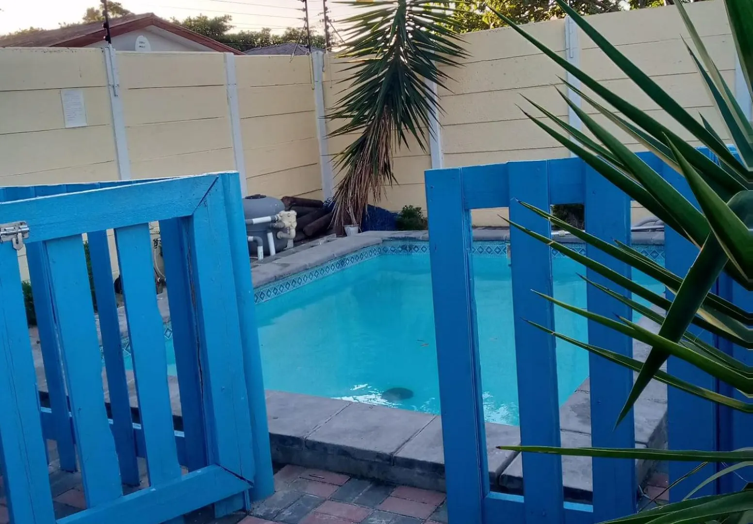 Sunshine Guest House Cape Town South Africa
